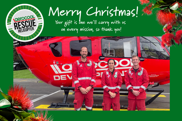 A Gift with Real Impact - Merry Christmas!